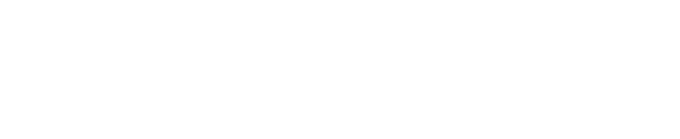 sailpoint